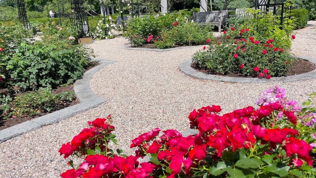 rideau hall rose garden