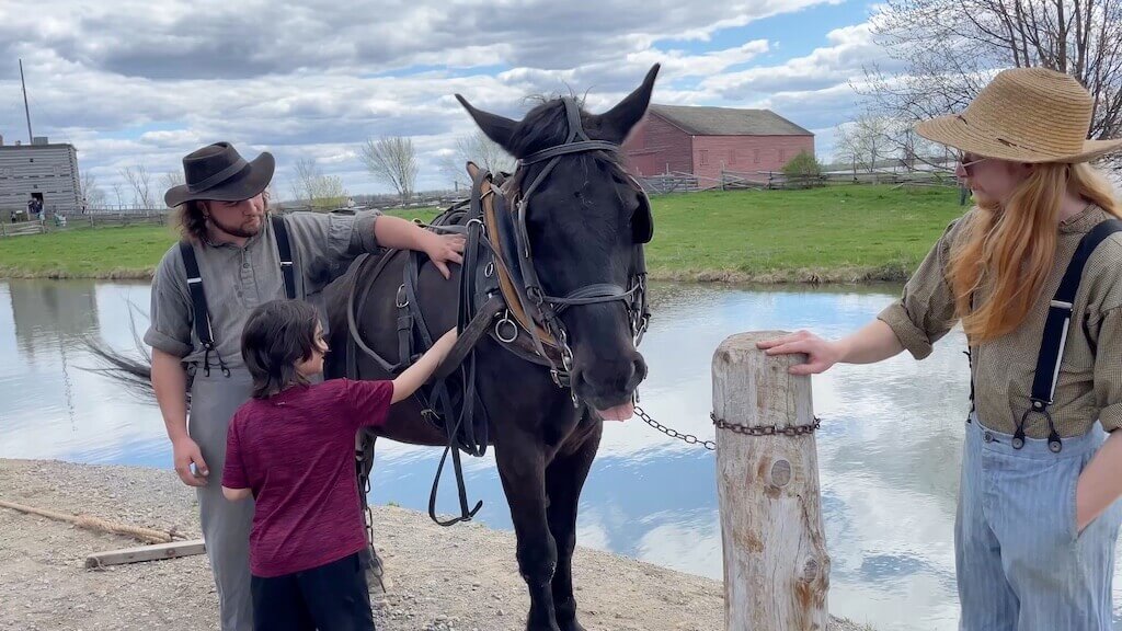 Upper Canada Village Horse