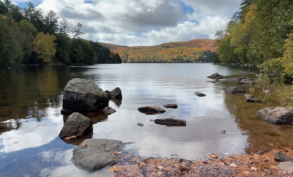 fall foliage and rock at Meech lake in gatineau park quebec
